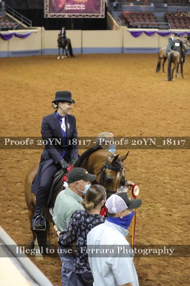 Proof 20YN_18117