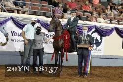 20YN_18137 proof