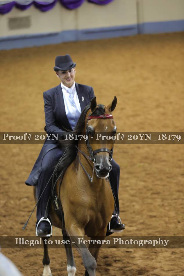 Proof 20YN_18179