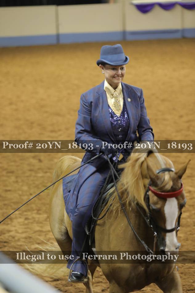 Proof 20YN_18193
