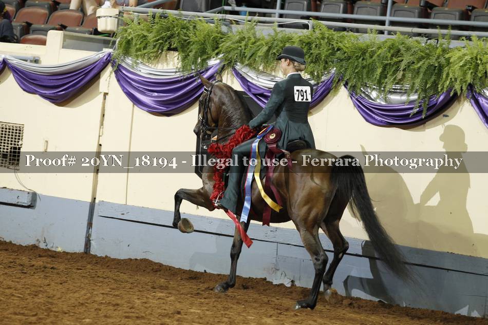 Proof 20YN_18194