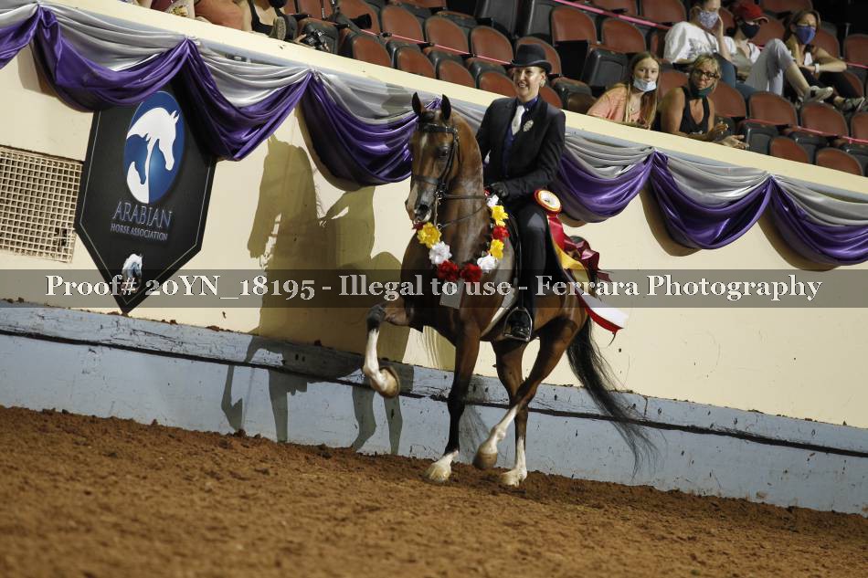 Proof 20YN_18195