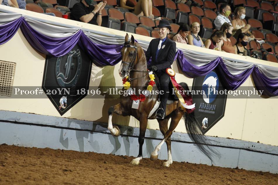 Proof 20YN_18196