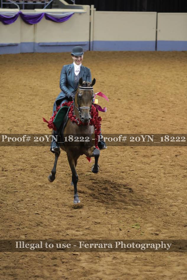 Proof 20YN_18222