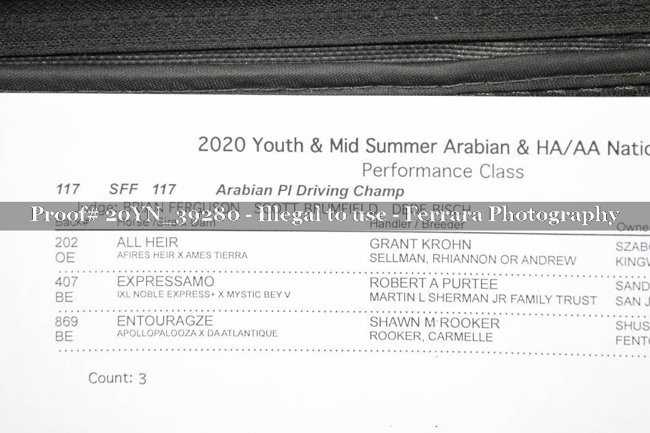 Proof 20YN_39280