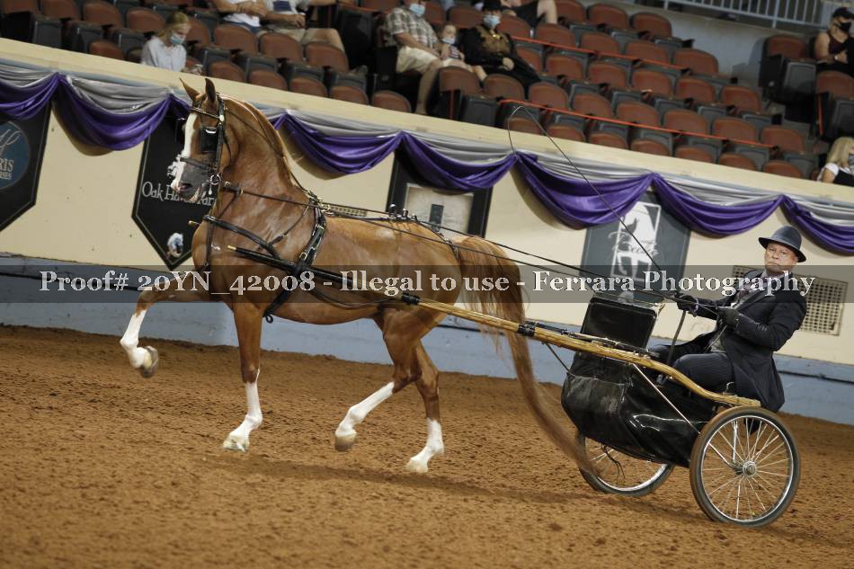 Proof 20YN_42008