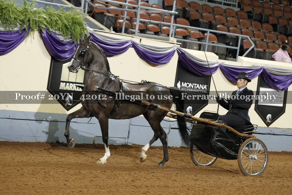 Proof 20YN_42012