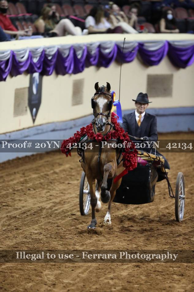 Proof 20YN_42134