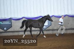 20YN_25520 proof