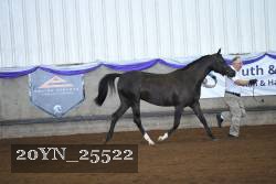 20YN_25522 proof