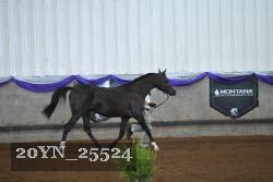 20YN_25524 proof