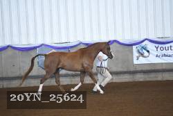 20YN_25624 proof