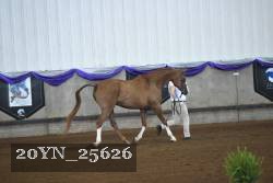 20YN_25626 proof