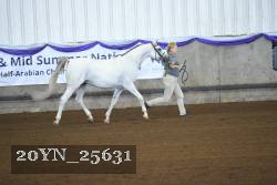 20YN_25631 proof