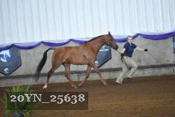 20YN_25638 proof