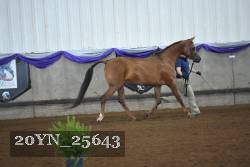 20YN_25643 proof