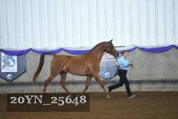 20YN_25648 proof