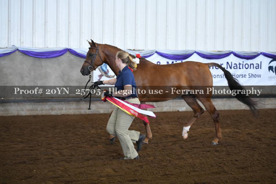 Proof 20YN_25705