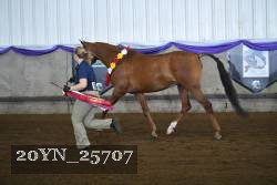 20YN_25707 proof