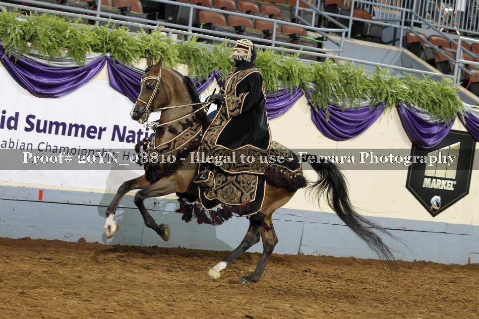 Proof 20YN_08810