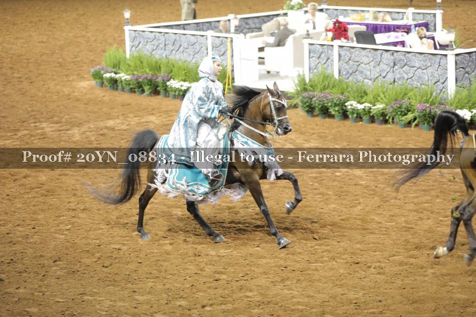 Proof 20YN_08834