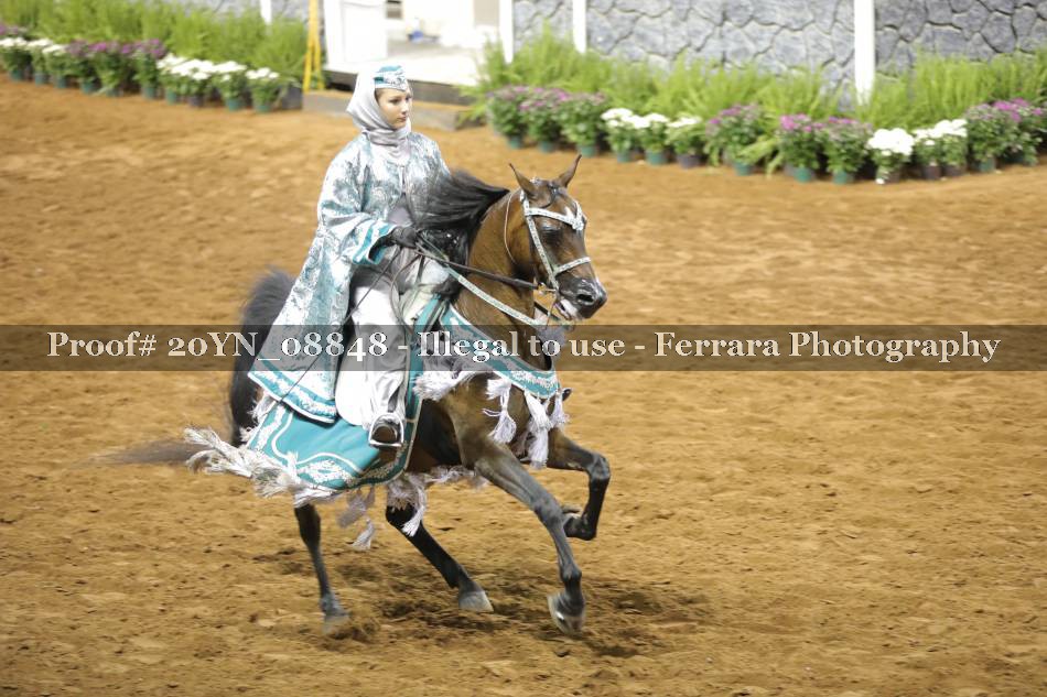 Proof 20YN_08848