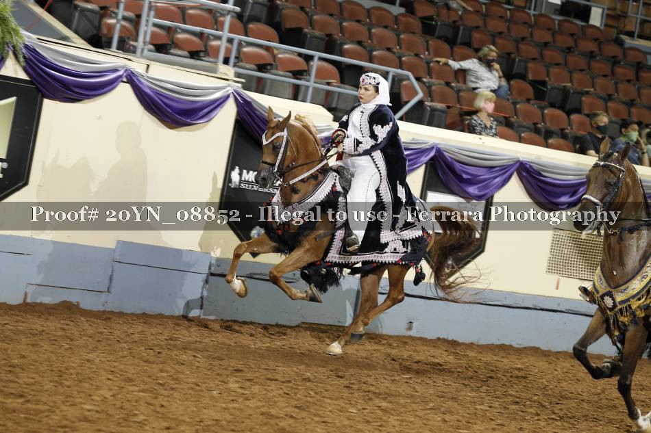Proof 20YN_08852