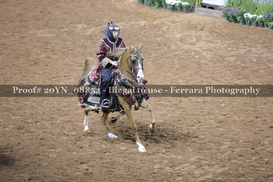 Proof 20YN_08854