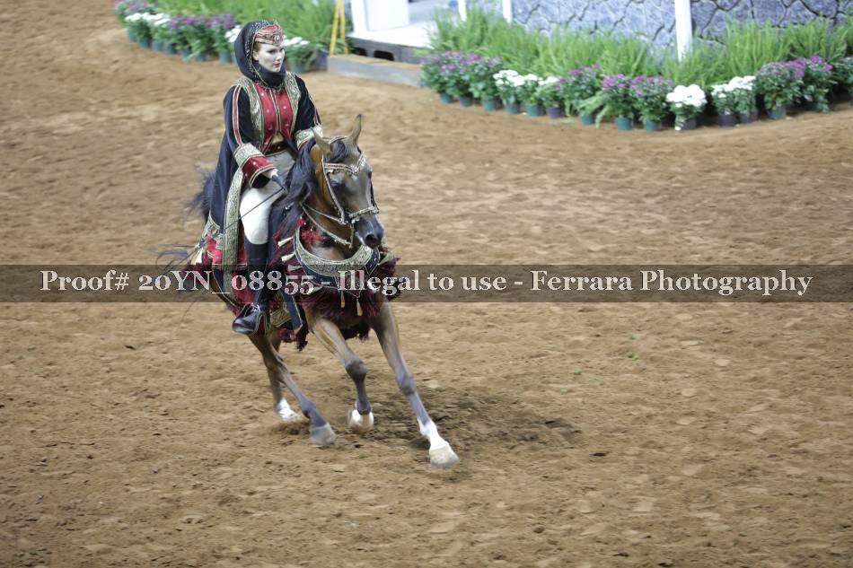Proof 20YN_08855