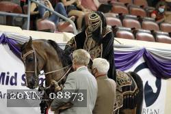 20YN_08873 proof