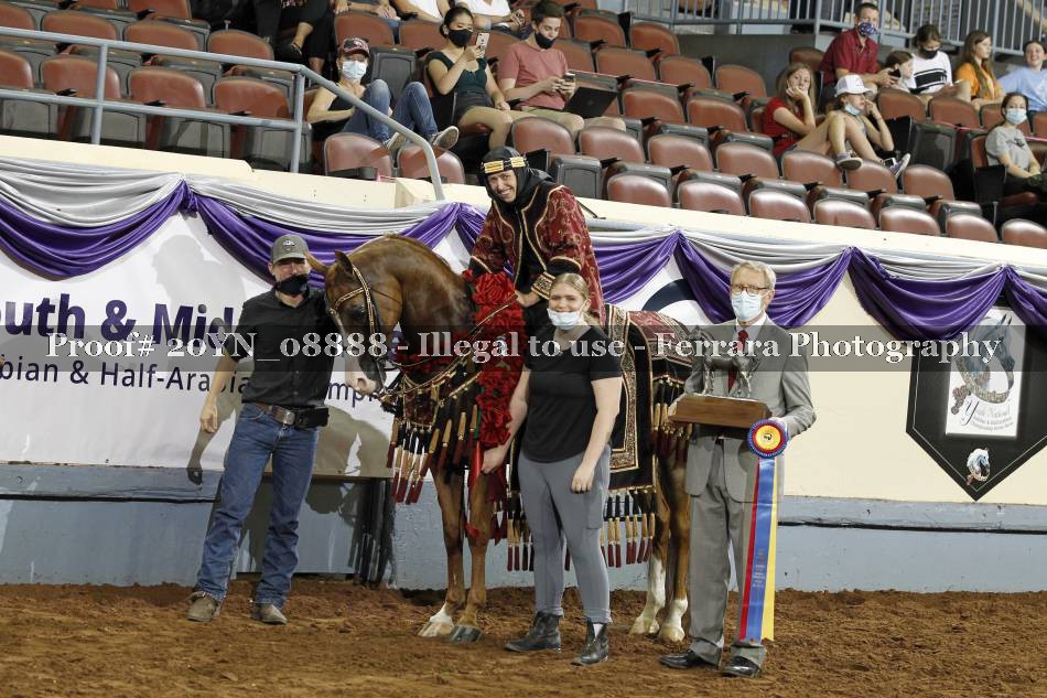 Proof 20YN_08888