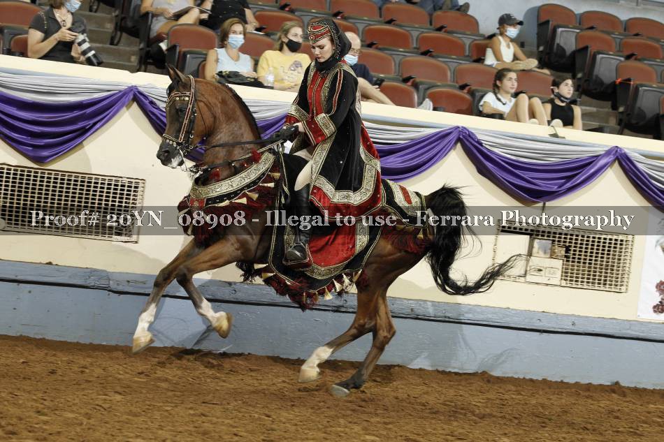 Proof 20YN_08908