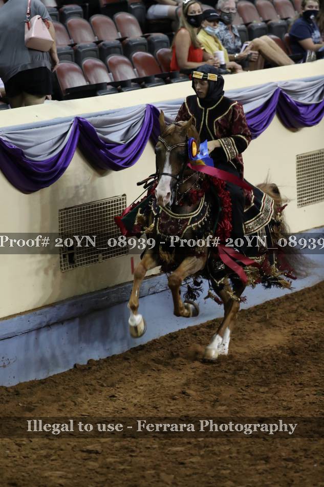 Proof 20YN_08939
