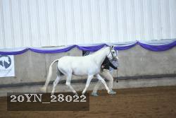 20YN_28022 proof