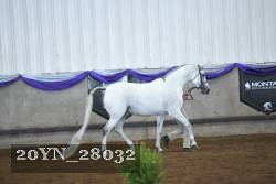 20YN_28032 proof