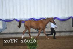 20YN_28048 proof