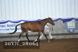 20YN_28064 proof