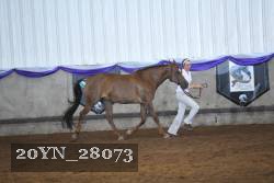 20YN_28073 proof
