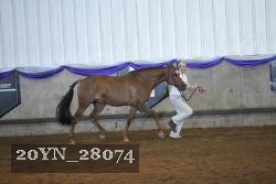 20YN_28074 proof