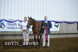 20YN_28082 proof