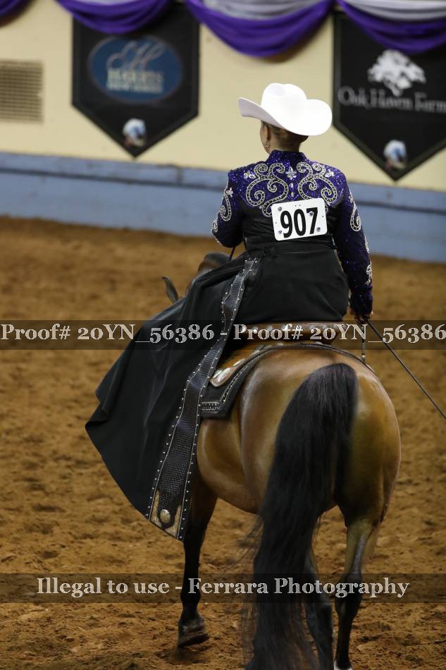 Proof 20YN_56386