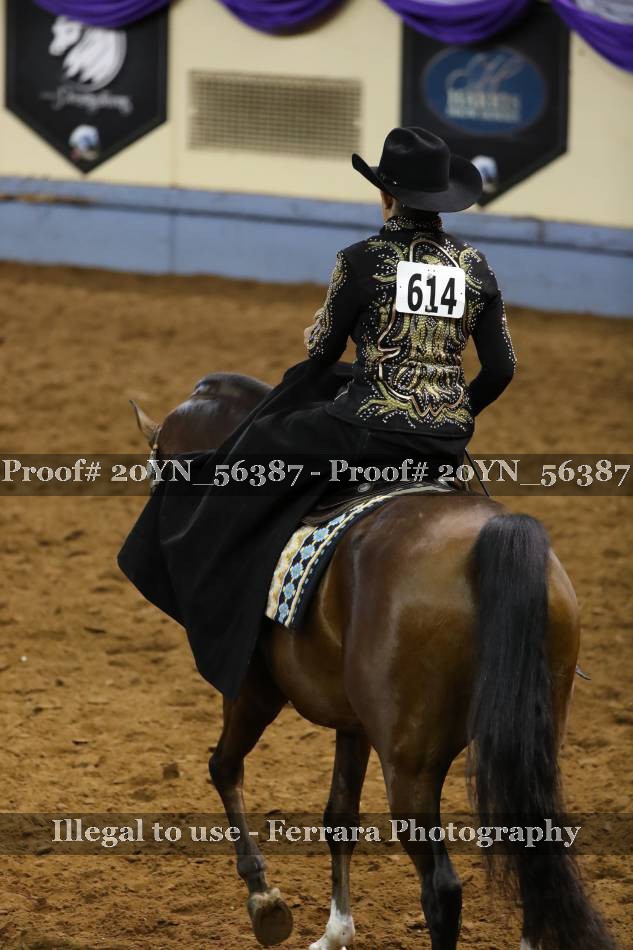 Proof 20YN_56387