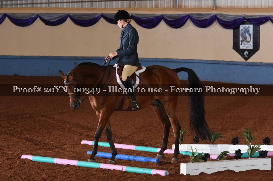 Proof 20YN_00349