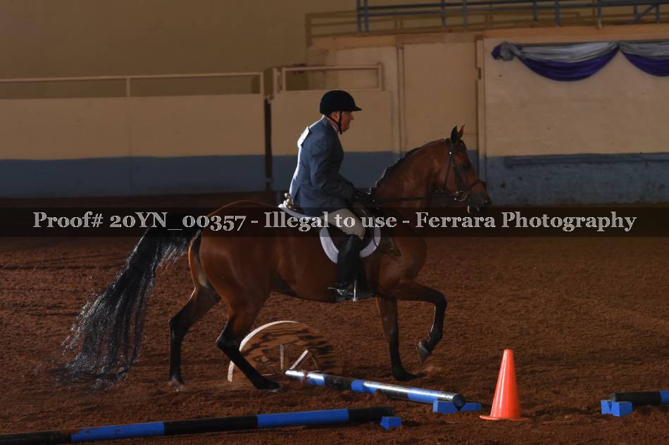Proof 20YN_00357