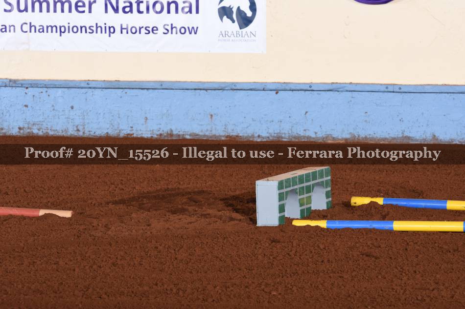 Proof 20YN_15526