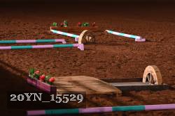 20YN_15529 proof