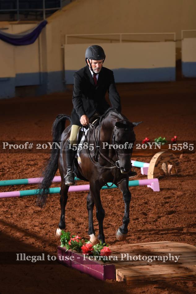 Proof 20YN_15585