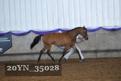 20YN_35028 proof