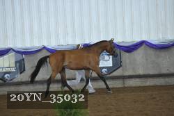 20YN_35032 proof