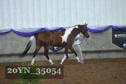 20YN_35054 proof